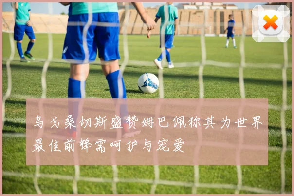 乌戈桑切斯盛赞姆巴佩称其为世界最佳前锋需呵护与宠爱